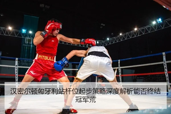 han-mi-er-dun-xiong-ya-li-zhan-gan-wei-qi-bu-ce-lve-shen-du-jie-xi-neng-fou-zhong-jie-guan-jun-huang-2-297.jpg